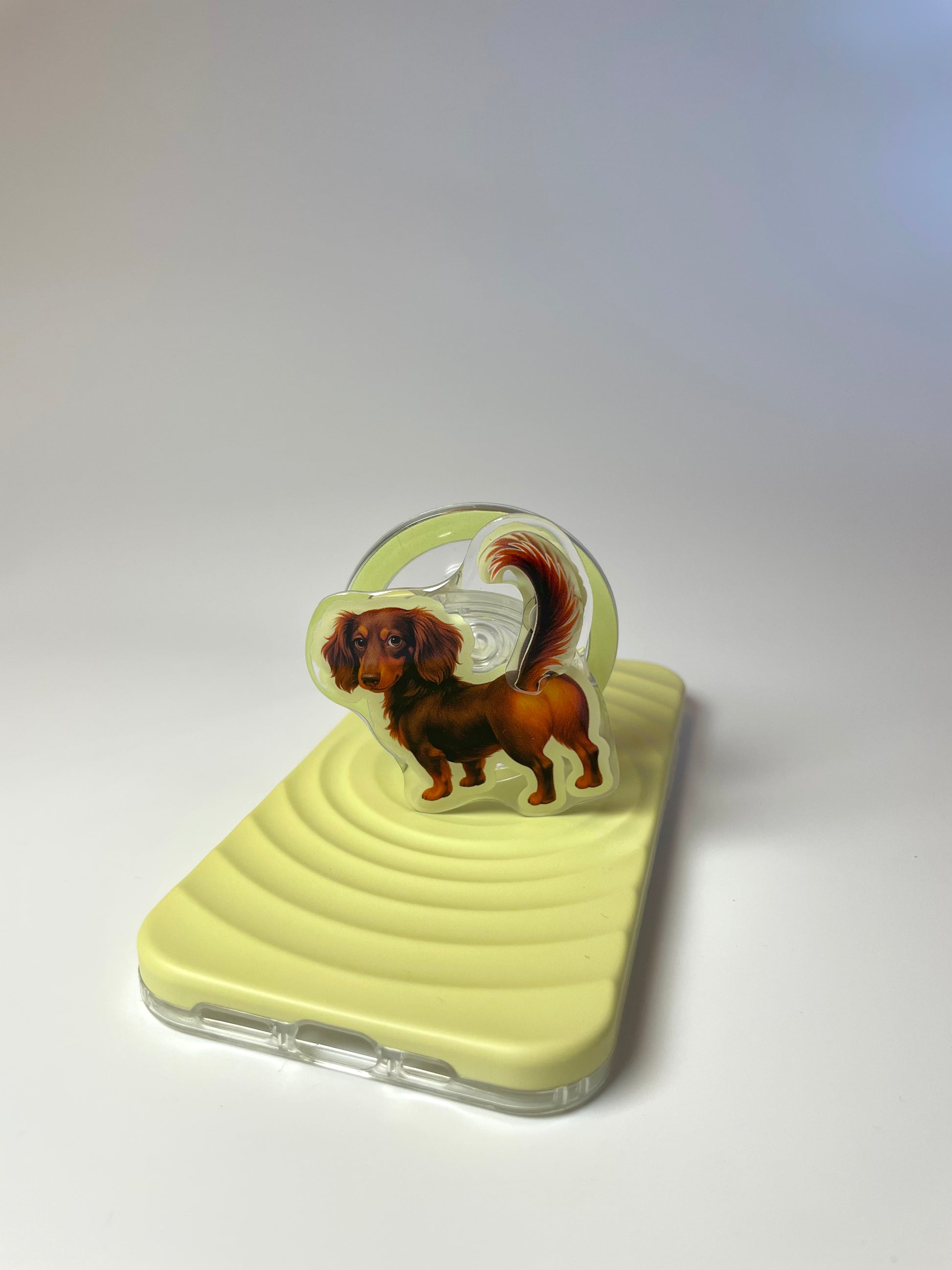 dachshund phone grip on puppy playground collection by pupcase